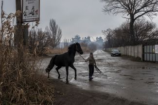 Олеся Гадарина со своим конем Семой. Мариуполь, 5 декабря 2018 года. Позади них — завод «Азовсталь». Из-за напряженной ситуации в Азовском море сильно сократился товарооборот Мариупольского порта, так что завод испытывает большие затруднения со сбытом своей продукции.